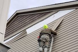 Best Siding for Commercial Buildings  in Mead, CO